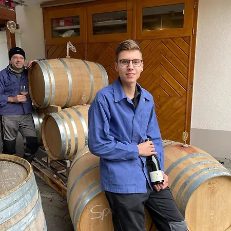 Wiedehopf Lejlighed Vogtsburg
