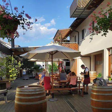 Wiedehopf Vogtsburg