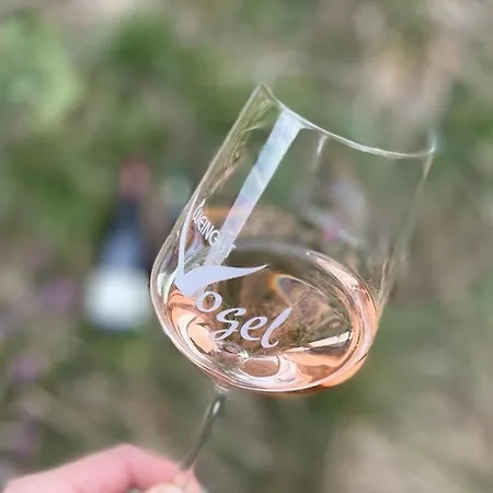 Wiedehopf Lejlighed *