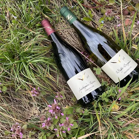 Wiedehopf