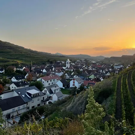 Wiedehopf Lejlighed Vogtsburg