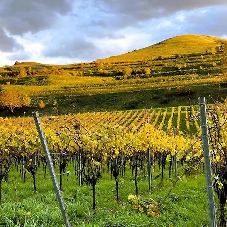 Lejlighed Wiedehopf Vogtsburg